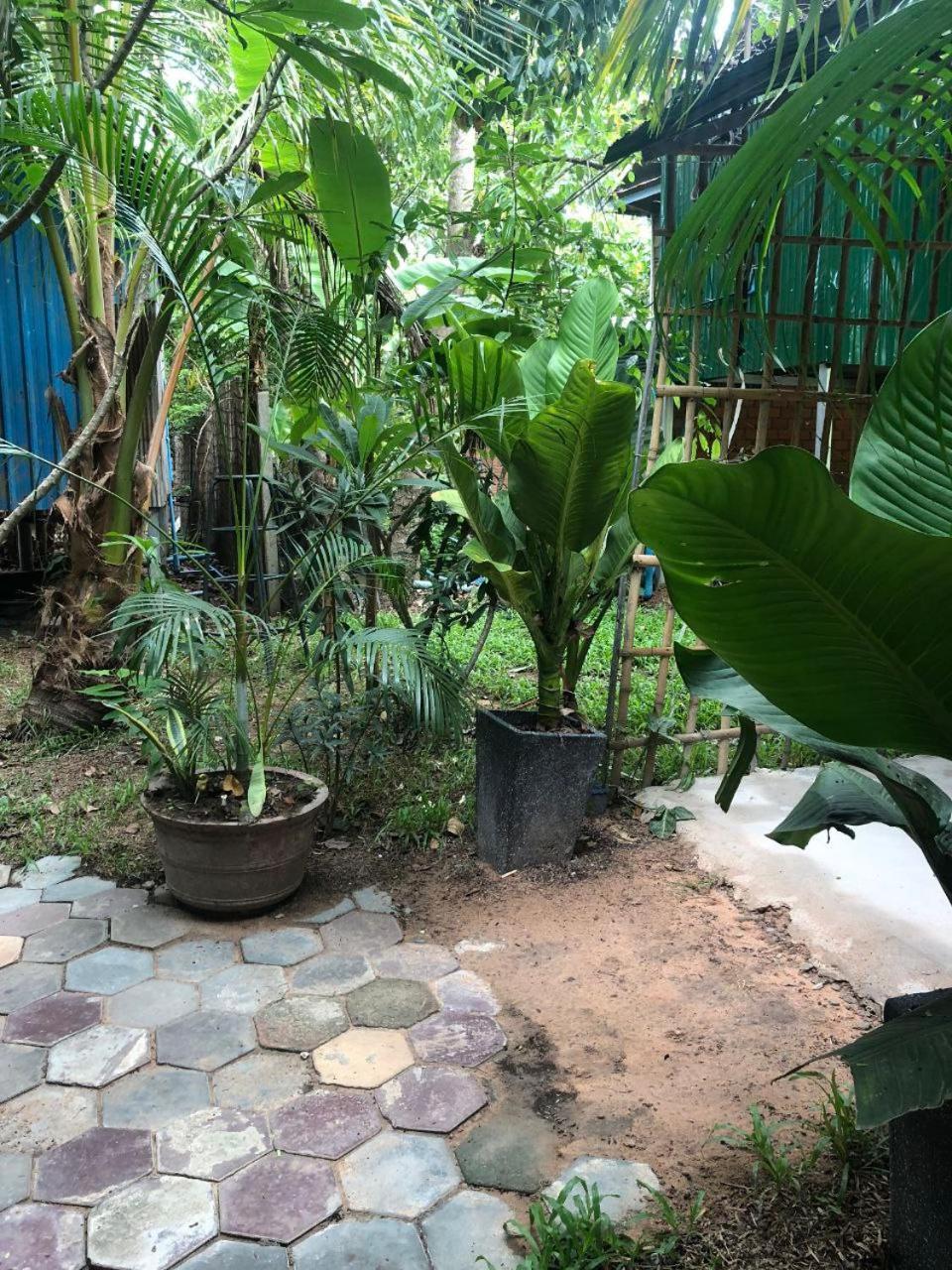 Sok Phen Homestay Siem Reap Exterior photo