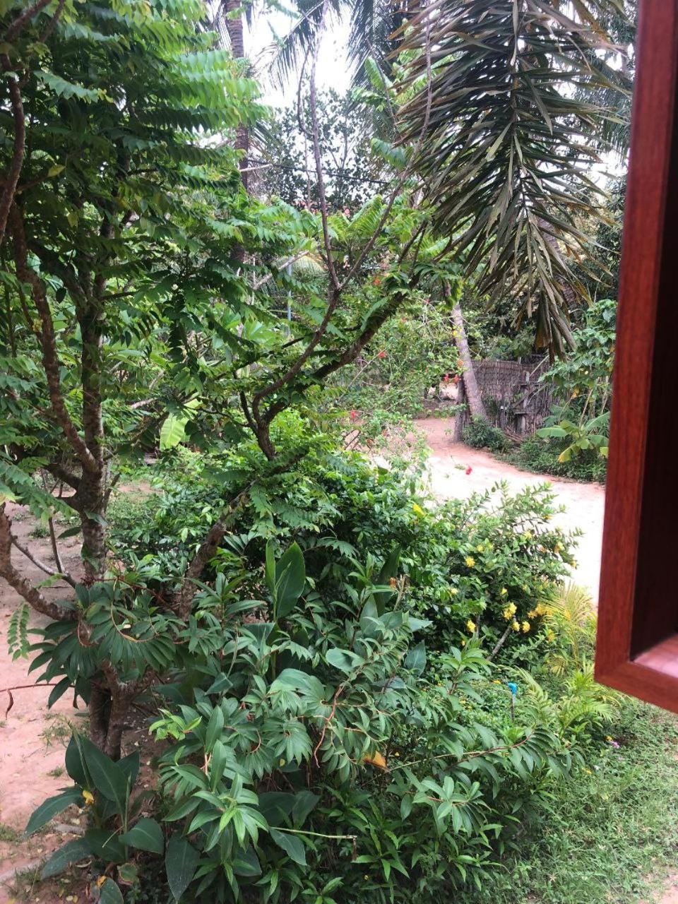 Sok Phen Homestay Siem Reap Exterior photo