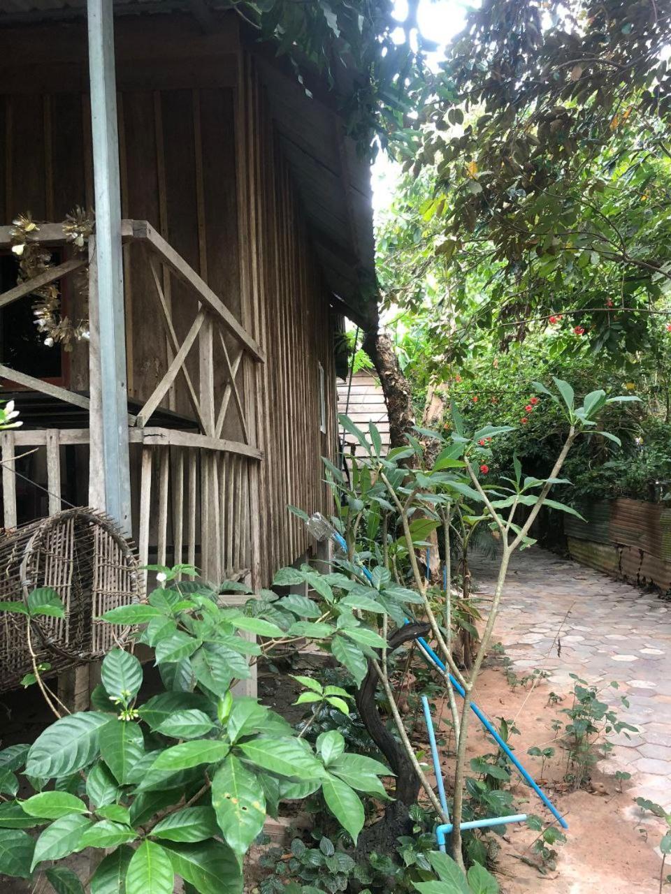 Sok Phen Homestay Siem Reap Exterior photo