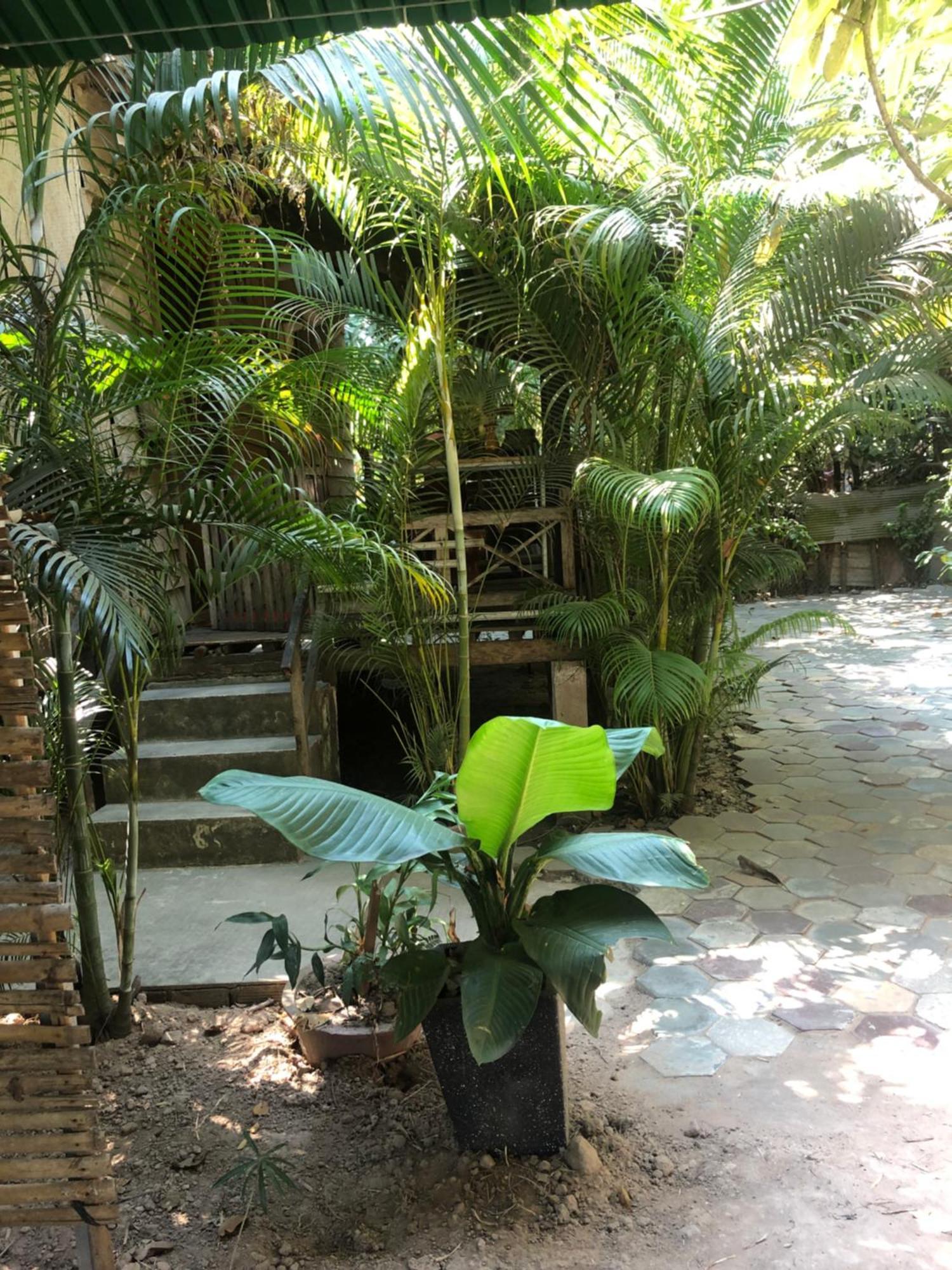 Sok Phen Homestay Siem Reap Exterior photo